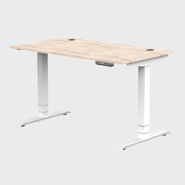 Dyback04®  Standing Desk